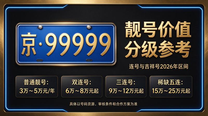 2026年闲置京牌指标市场分析示意图